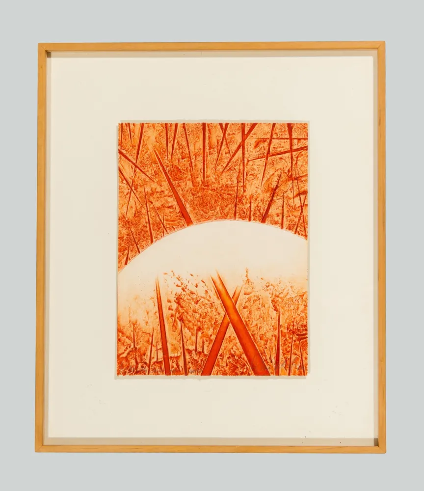 Relief Pomodoro - Composizione