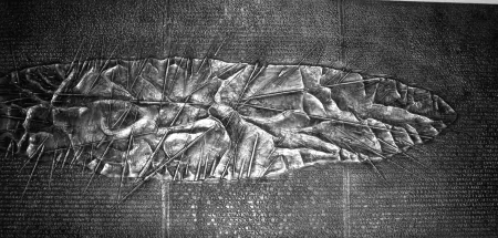 挿絵入り本 Pomodoro - Sette frammenti da l'Arte dell'uomo primordiale