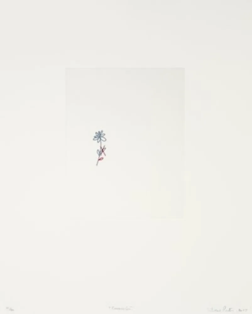 彫版 Porter - Corrección