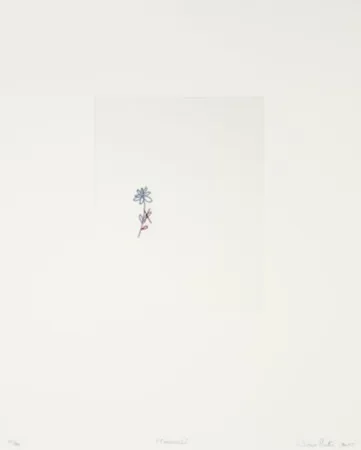 彫版 Porter - Corrección