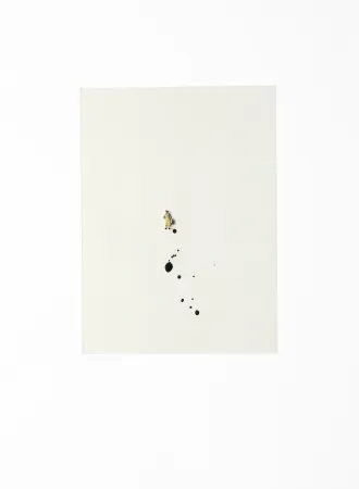 多数の Porter - Mod. 1