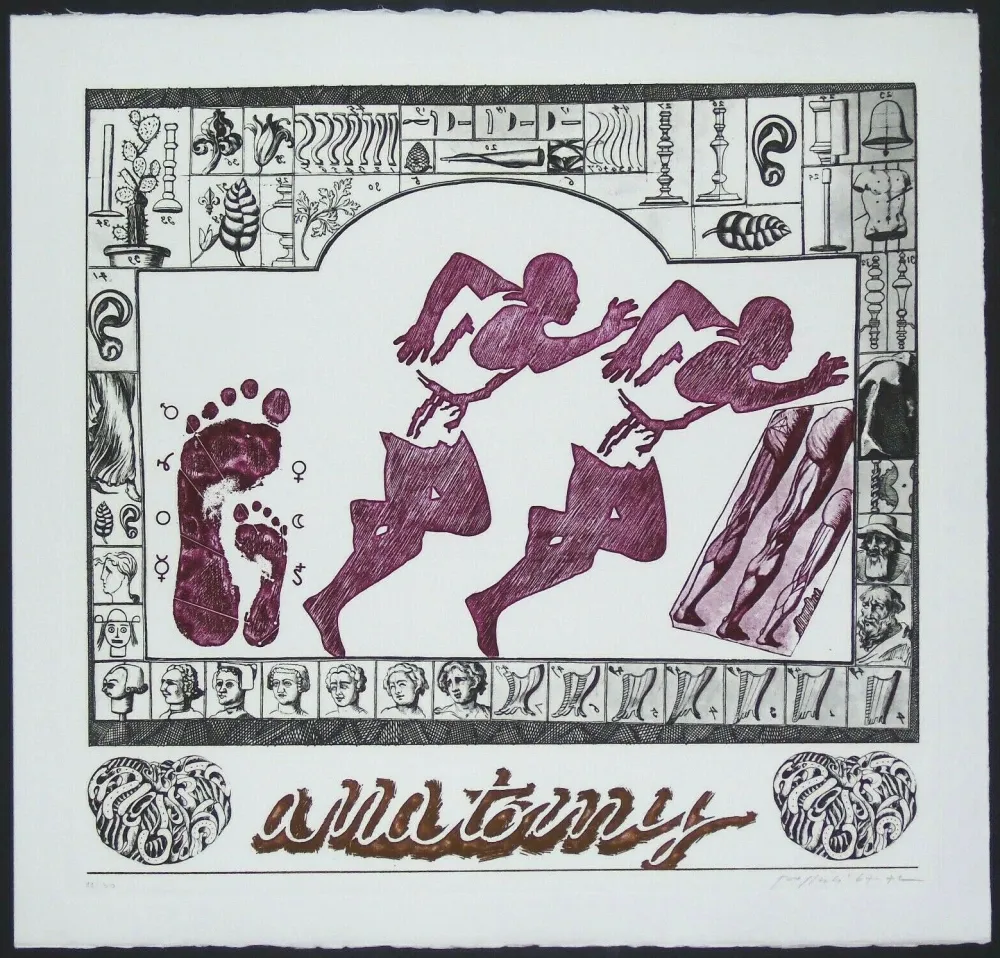 彫版 Pozzati - Anatomy