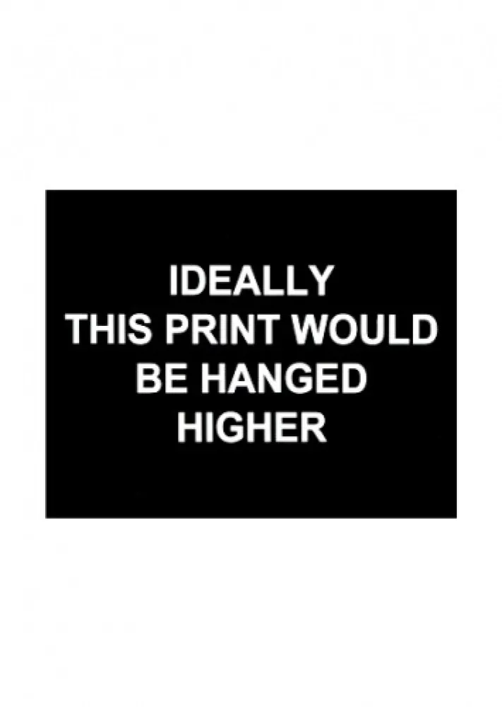 彫版 Prouvost  - Ideally this print would be hanged higher