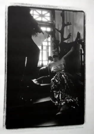 多数の Pushpamala - Phantom Lady #14