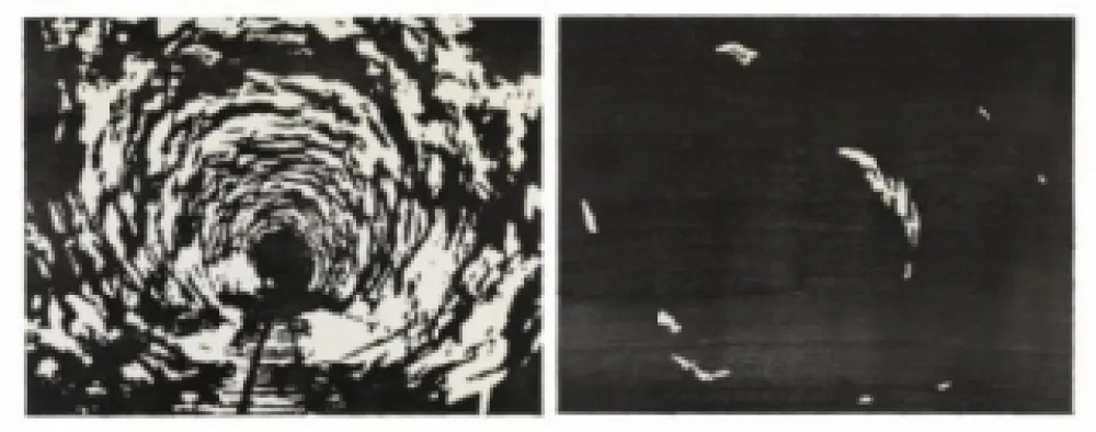 木版 Putrih - Reprojection II  (IIa et IIb)