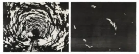 木版 Putrih - Reprojection II  (IIa et IIb)