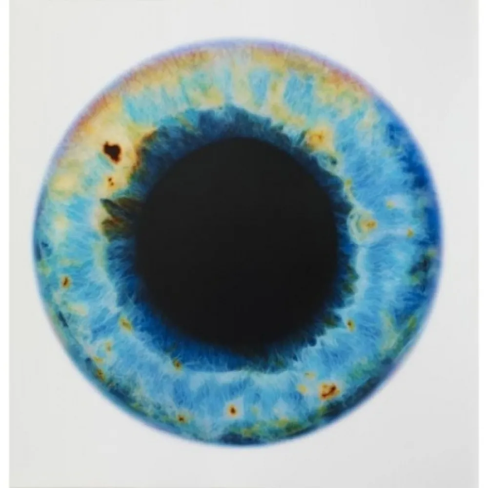 技術的なありません Quinn - Blue Planet