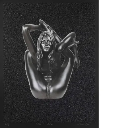 シルクスクリーン Quinn - Stealth Kate