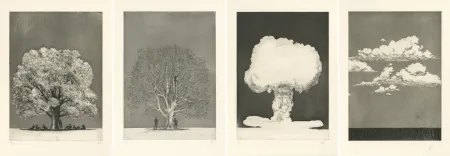 彫版 Rabaté - Paysage dans le Désordre (Suite)