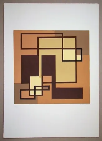 リトグラフ Radice - Compositione astratta marrone