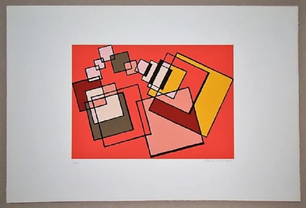 リトグラフ Radice - Compositione astratta rosa