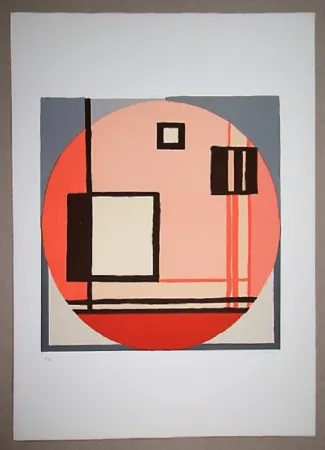 リトグラフ Radice - Compositione astratta rosa