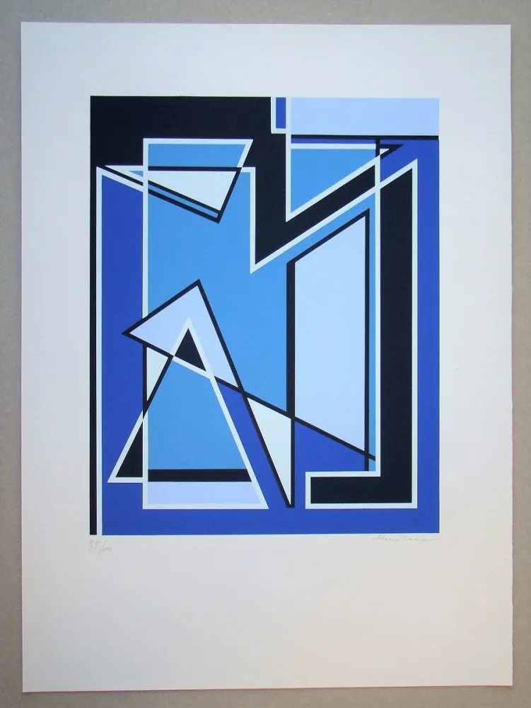 シルクスクリーン Radice - Senza Titolo