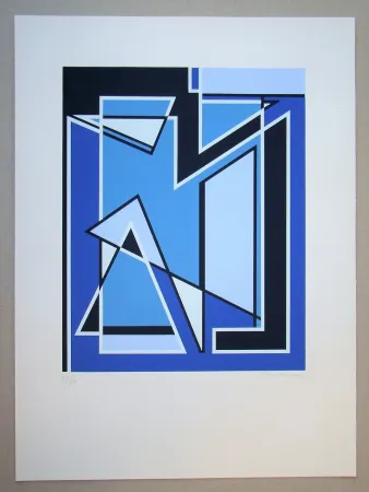 シルクスクリーン Radice - Senza Titolo