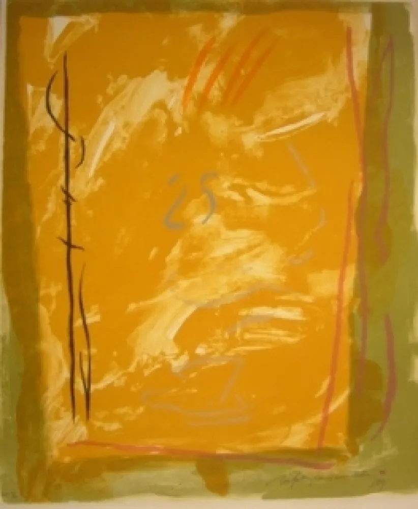 リトグラフ Ràfols Casamada - 25