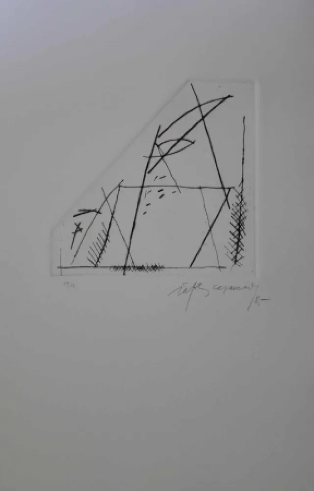 彫版 Ràfols Casamada - Jardí 4