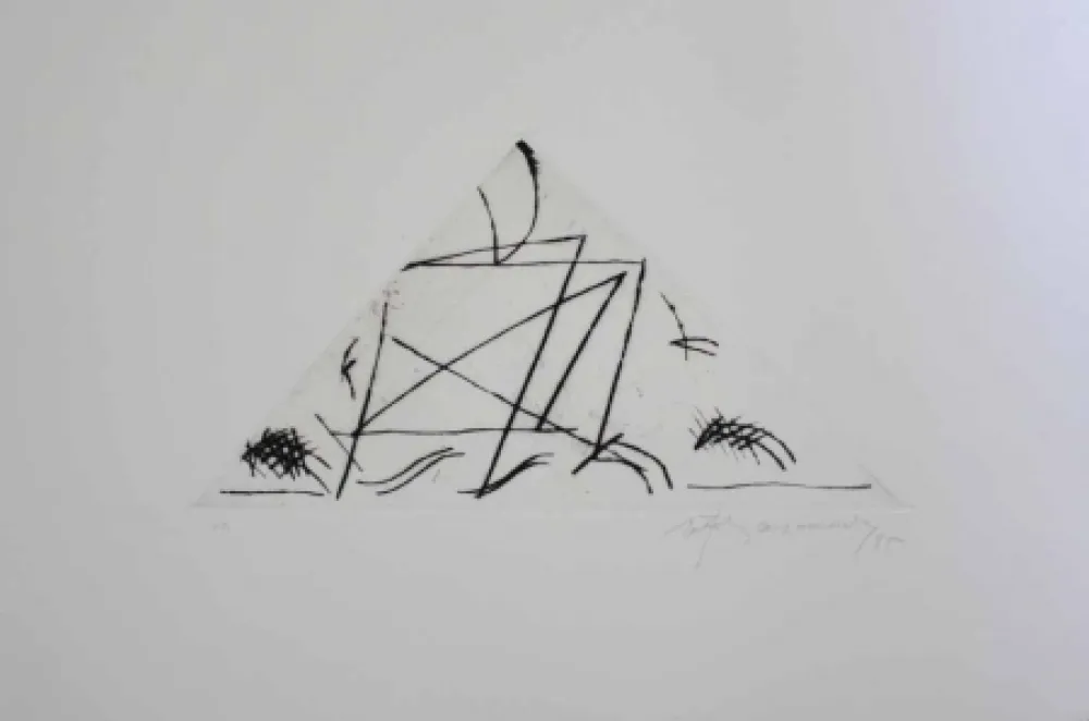 彫版 Ràfols Casamada - Jardí 5