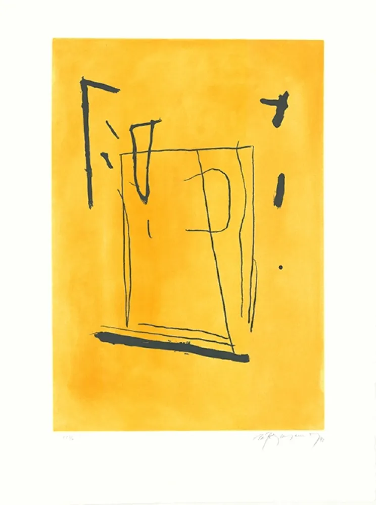 エッチングと　アクチアント Ràfols Casamada - Signe i color 3