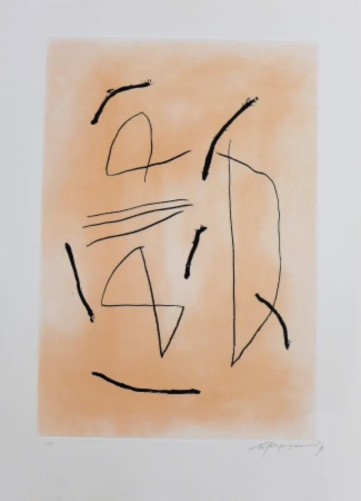 彫版 Ràfols Casamada - Signe i color-4 