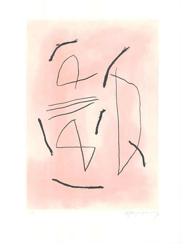 エッチングと　アクチアント Ràfols Casamada - Signe i color 4