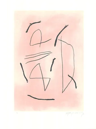 エッチングと　アクチアント Ràfols Casamada - Signe i color 4