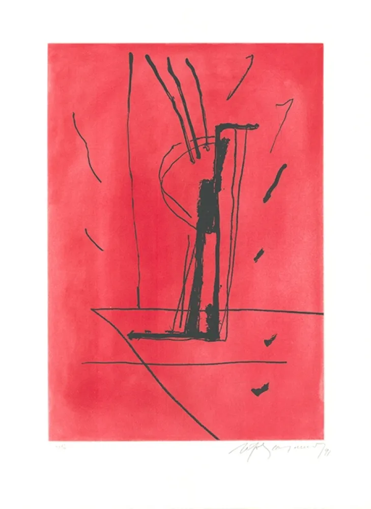 エッチングと　アクチアント Ràfols Casamada - Signe i color 6