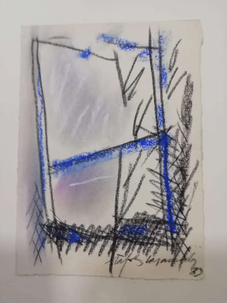 技術的なありません Ràfols Casamada - S/T