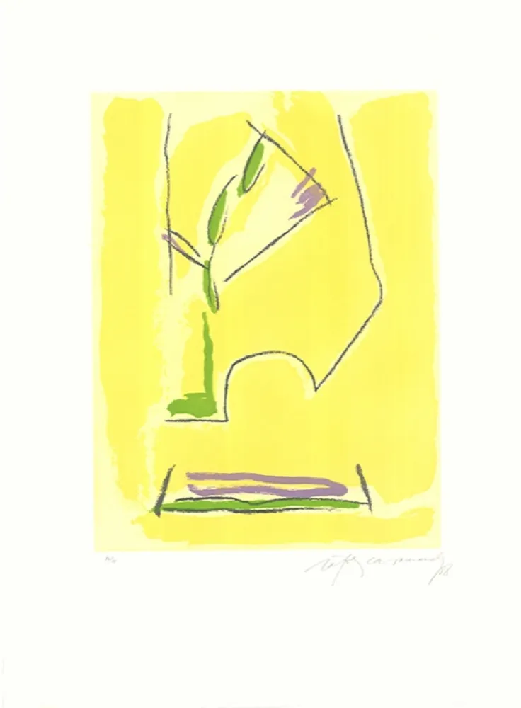 エッチングと　アクチアント Ràfols Casamada - Terrasses-1