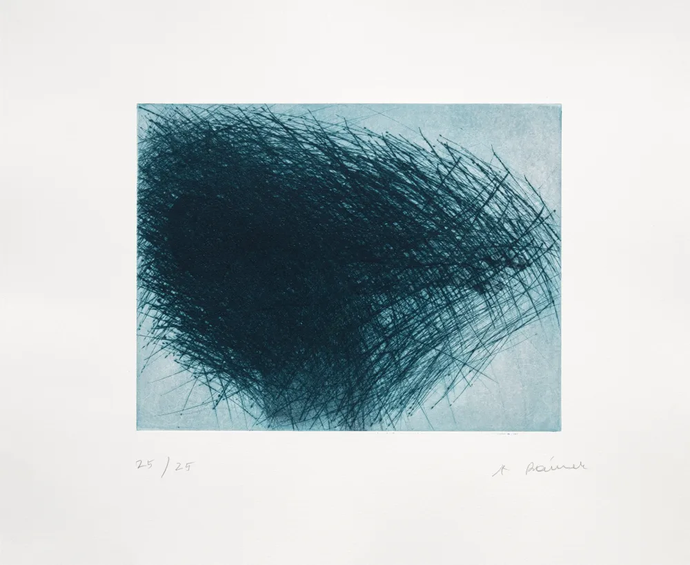 彫版 Rainer - Schwarm