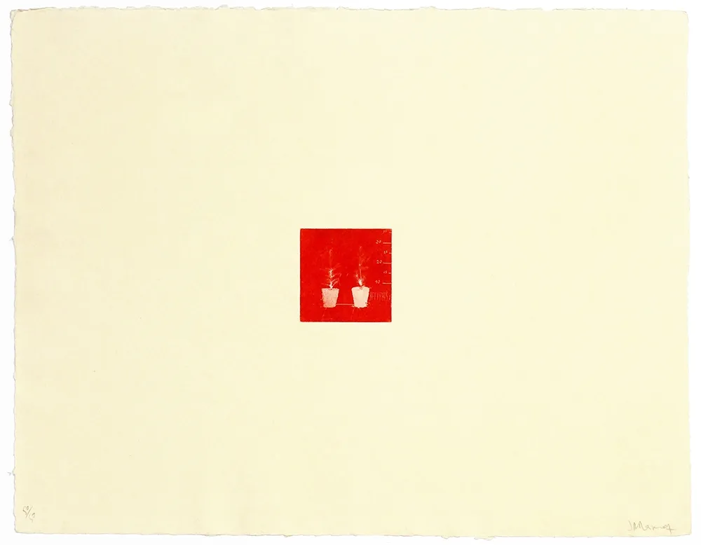 彫版 Ramírez Suass - S'enraciner