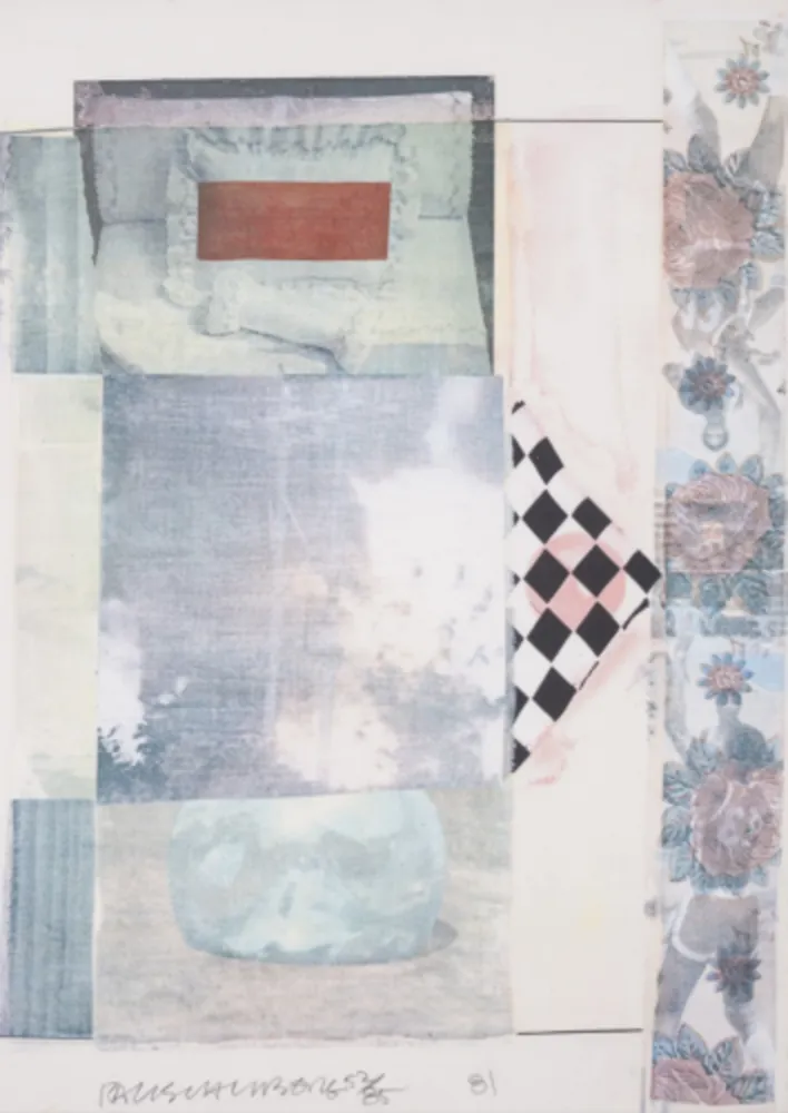 多数の Rauschenberg - Arcanum III
