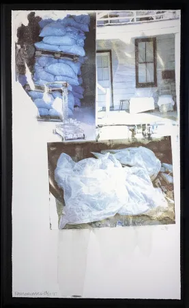 シルクスクリーン Rauschenberg - Daydream (Speculations)