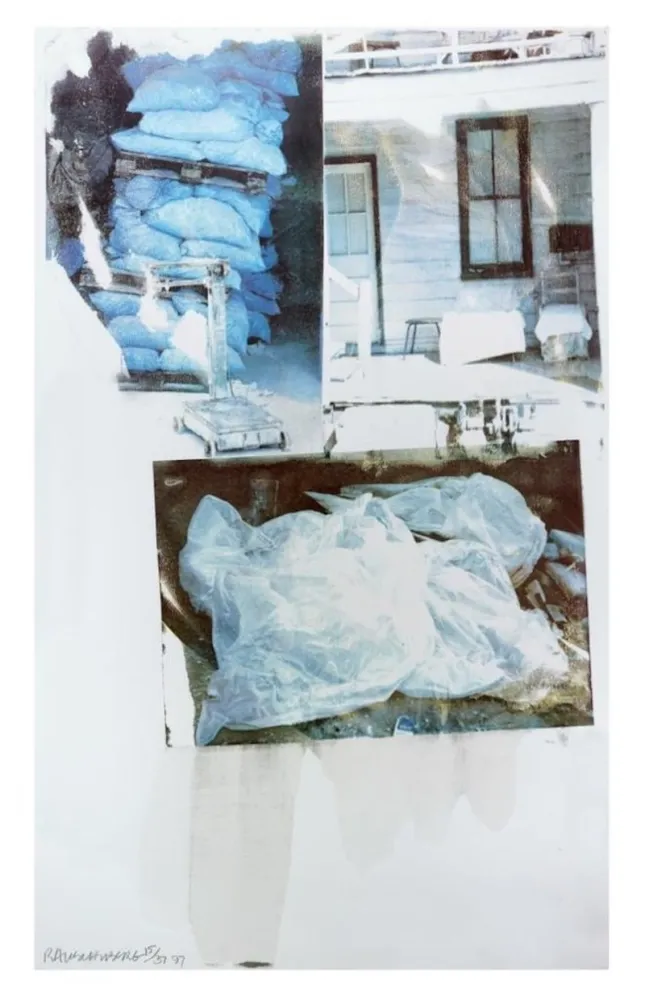 シルクスクリーン Rauschenberg - Daydream (Speculations)