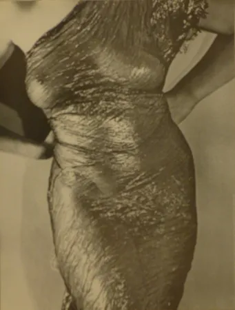 掲示 Ray - Anatomies