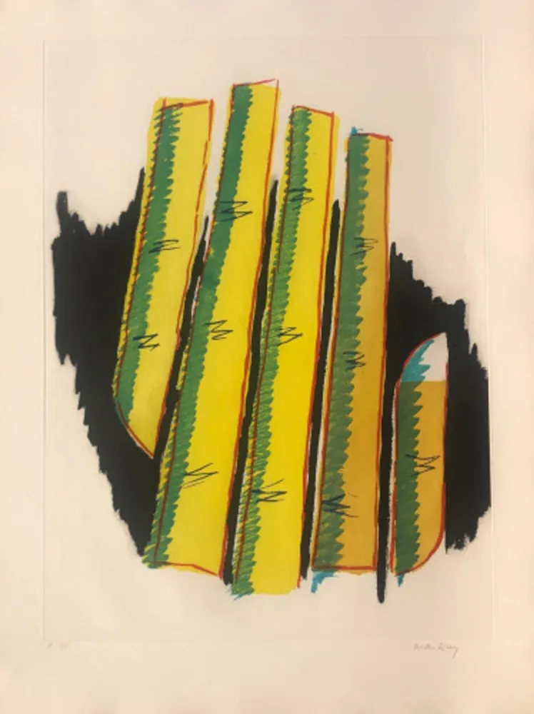 アクチアント Ray - Cactus