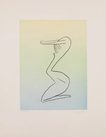 アクチアント Ray - Man Ray (1890–1976) - Anatoms without Rime or Reason for Every Season - Aquatint and soft ground on paper - 1970