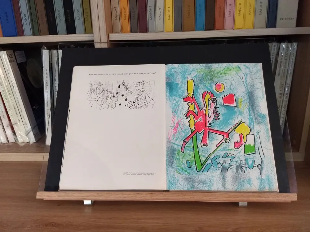 挿絵入り本 Ray - No 45