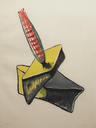 エッチングと　アクチアント Ray - Transfiguration d'un cactus