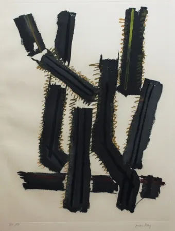 エッチングと　アクチアント Ray - Transfiguration d'un cactus