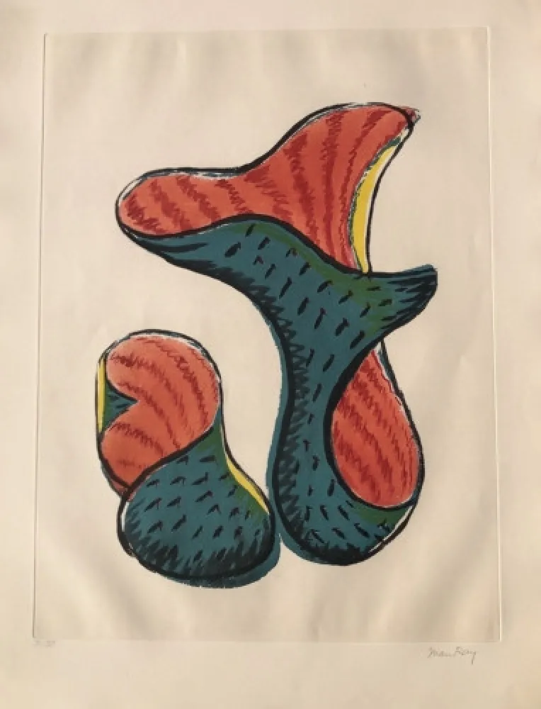 アクチアント Ray - Untitled (from Transfiguration d' un Cactus)