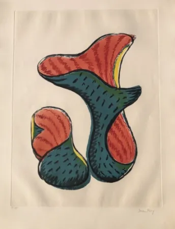 アクチアント Ray - Untitled (from Transfiguration d' un Cactus)