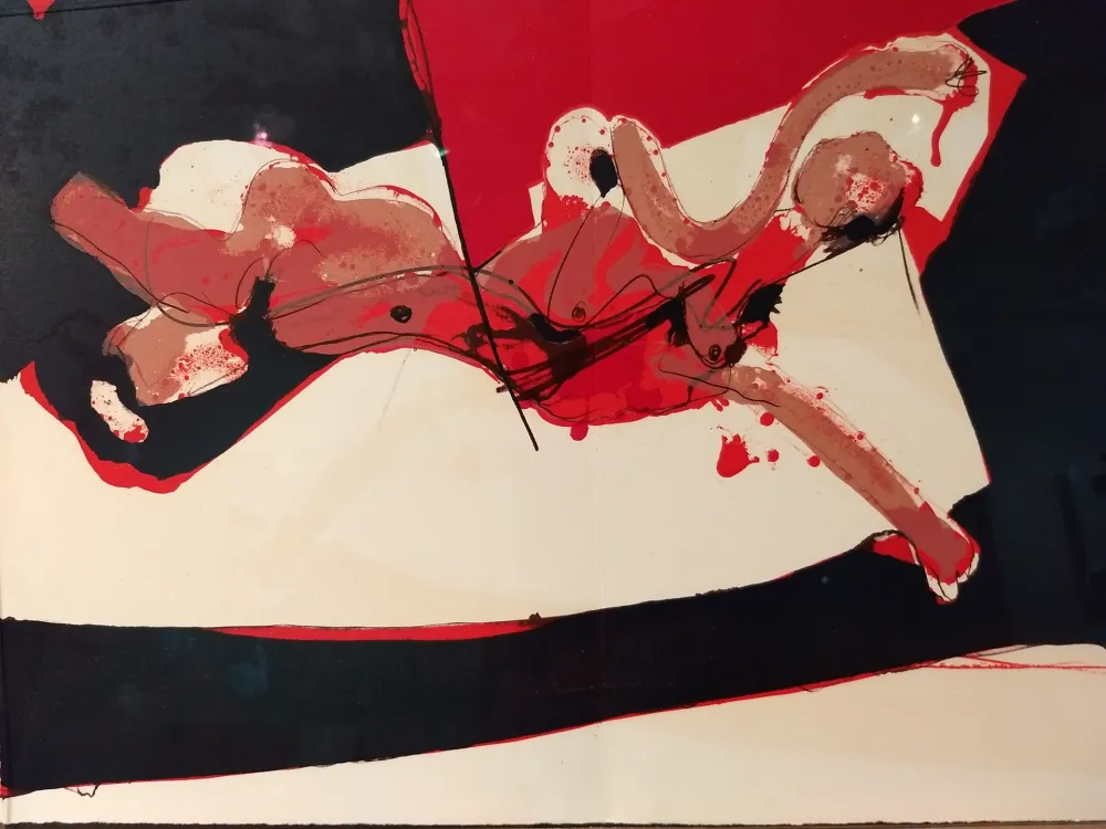 挿絵入り本 Rebeyrolle - Coexistances