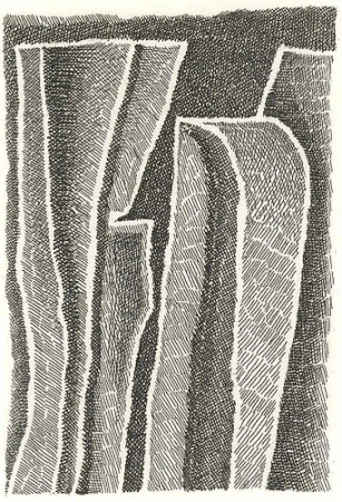 挿絵入り本 Ricci - I Sassi di Matera