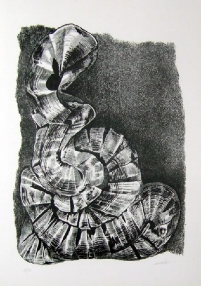 挿絵入り本 Ricci - Lettera a un amico (e, indirettamente, a tutti gli altri)