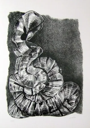 挿絵入り本 Ricci - Lettera a un amico (e, indirettamente, a tutti gli altri)