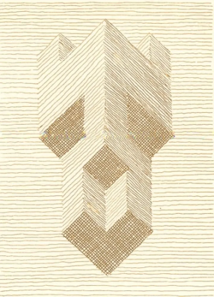 挿絵入り本 Ricci - Nel rettangolo dei teoremi