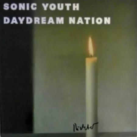 多数の Richter - LP Sonic Youth