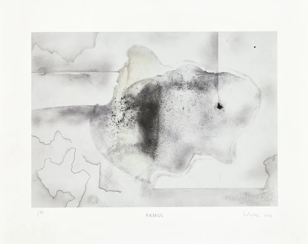 多数の Richter - Pamul