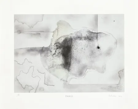 多数の Richter - Pamul