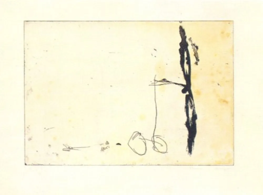 彫版 Riera I Aragó - Avió (dreta)